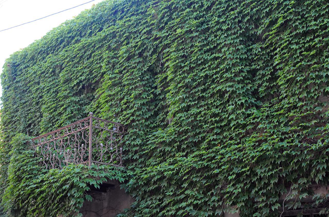 Old Walls 1 Τυφλίδα Εξωτερικό φωτογραφία